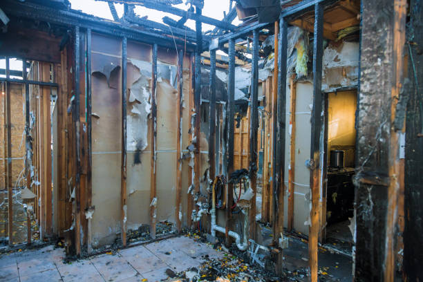Professional Fire Damage Assessment technician working in Deer Park, TX